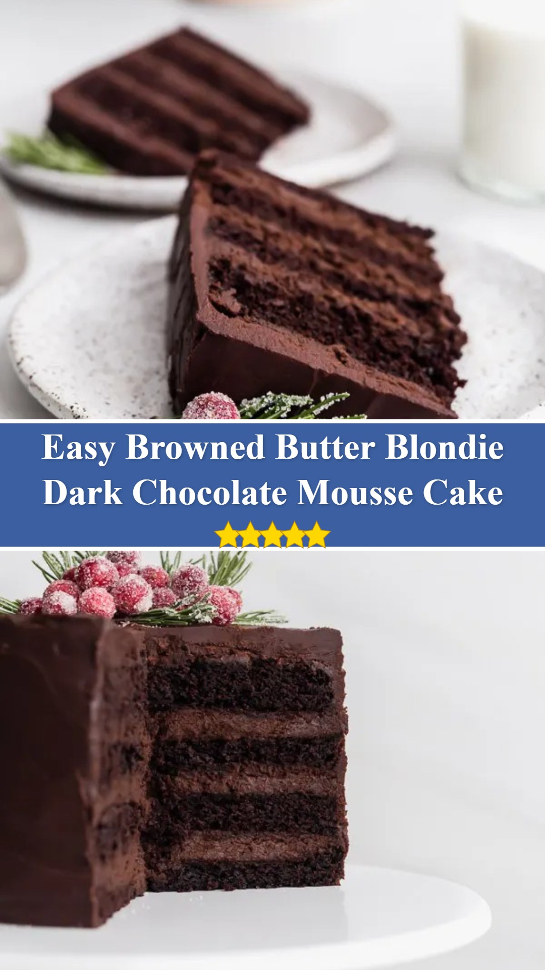 Dark Chocolate Mousse Cake - Browned Butter Blondie