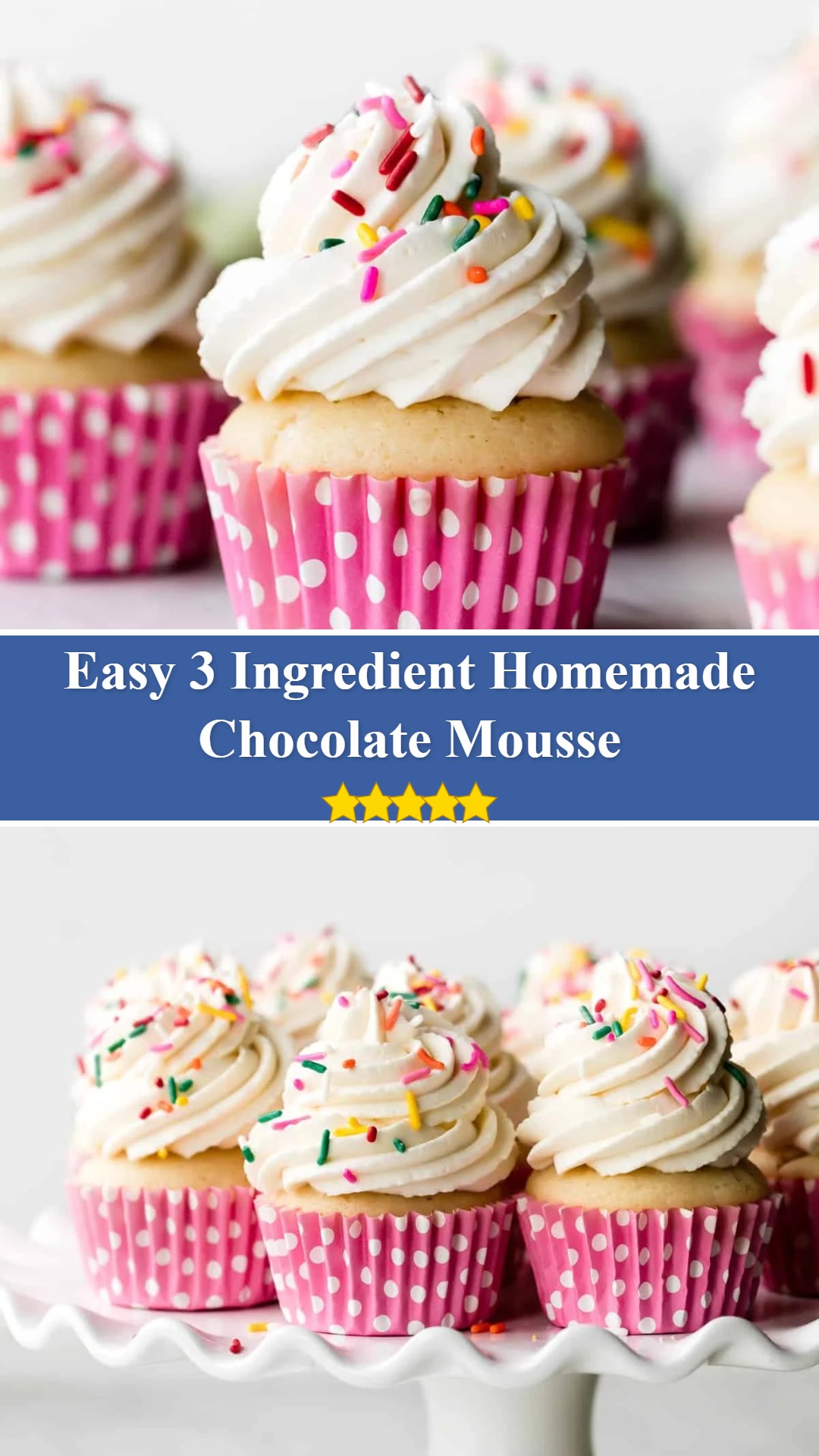 Homemade Chocolate Mousse