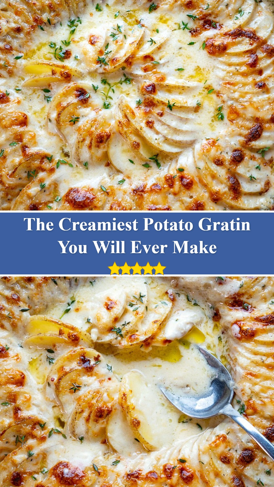 Potato Gratin